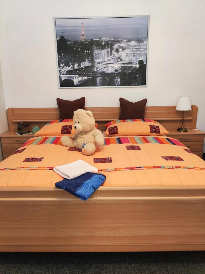 Penzion U Krtka Kraslice Kültér fotó